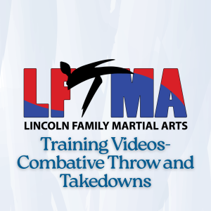 Black Belt Judges workshop (1)